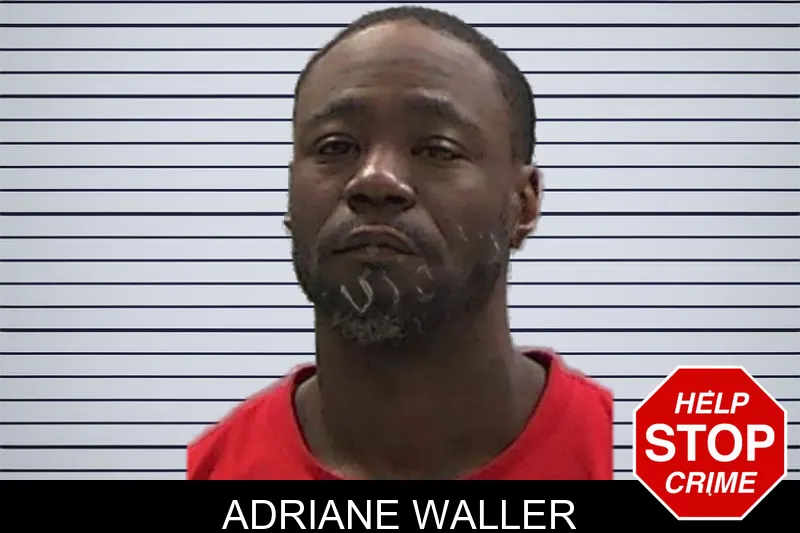 Adriane Waller mugshot