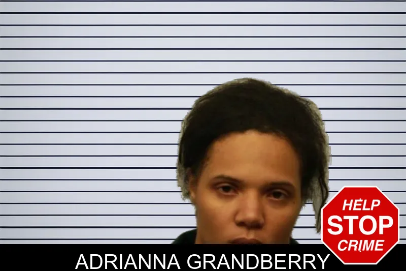 Adrianna Grandberry mugshot – Chatham County , Georgia Adrianna Grandberry mugshot