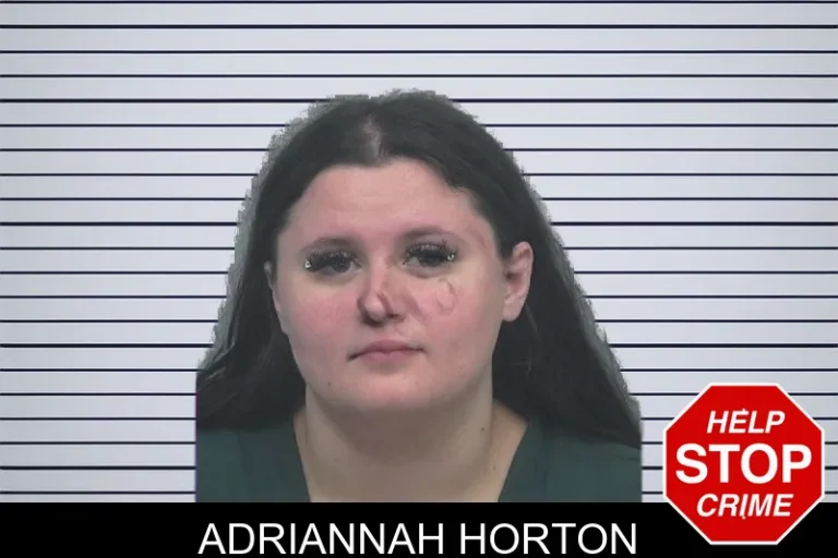 Adriannah Horton mugshot – Gwinnett County , Georgia Adriannah Horton