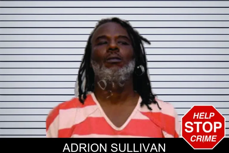 Adrion Sullivan mugshot – Bartow County , Georgia Adrion Sullivan