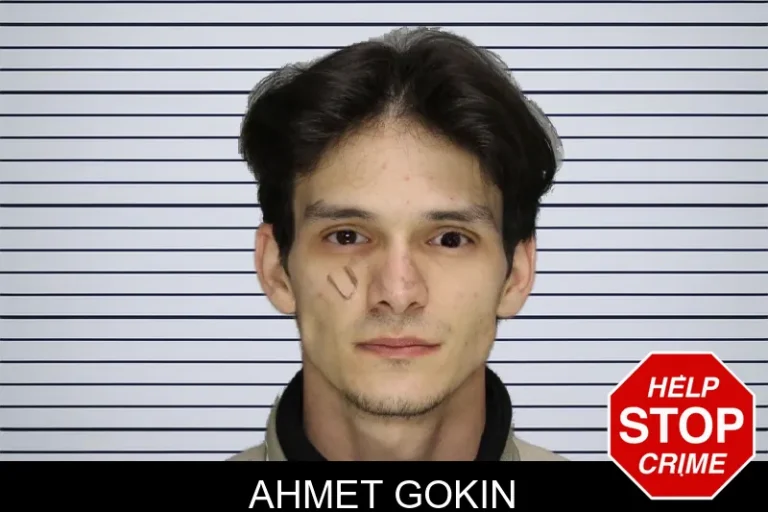 Ahmet Gokin