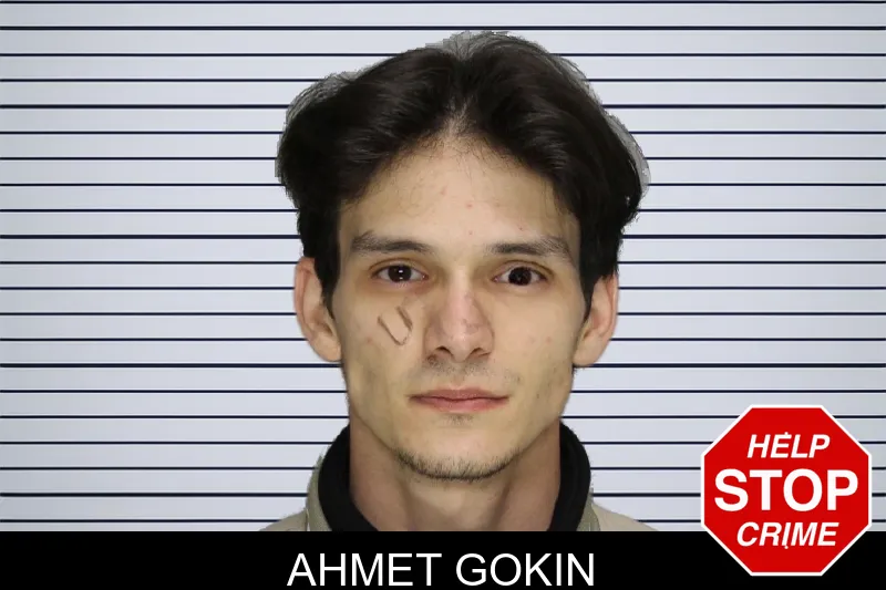 Ahmet Gokin mugshot – Cobb County , Georgia Ahmet Gokin mugshot