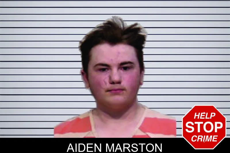 Aiden Marston mugshot