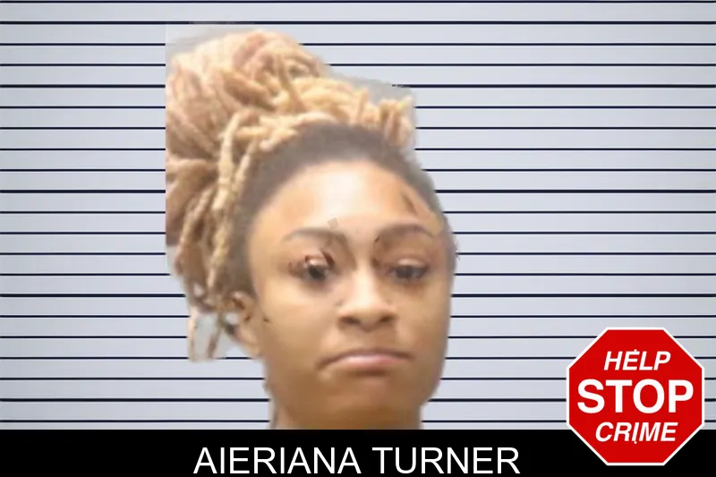 Aieriana Turner mugshot