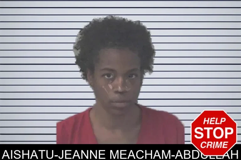 Aishatu-Jeanne Meacham-Abdullah
