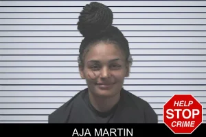 Aja Martin mugshot