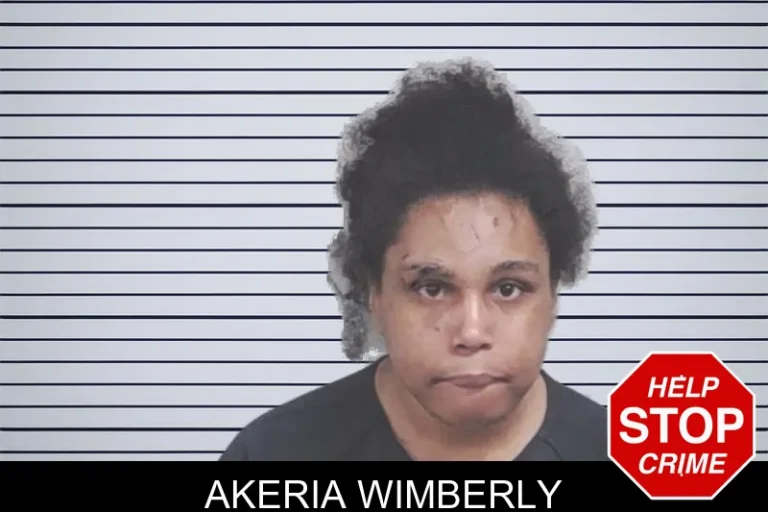 Akeria Wimberly mugshot – Lowndes County , Georgia Akeria Wimberly