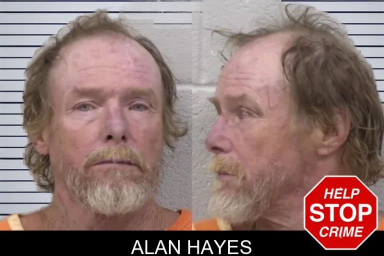 Alan Hayes mugshot – Paulding County , Georgia Alan Hayes