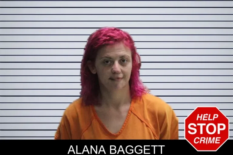 Alana Baggett mugshot – Murray County , Georgia Alana Baggett