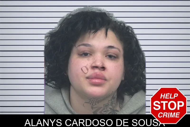 Alanys Cardoso De Sousa mugshot – Gwinnett County , Georgia Alanys Cardoso De Sousa mugshot