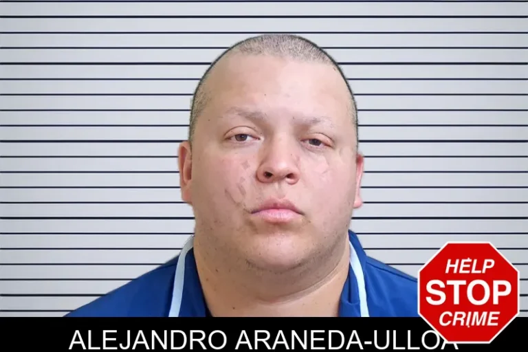 Alejandro Araneda-Ulloa
