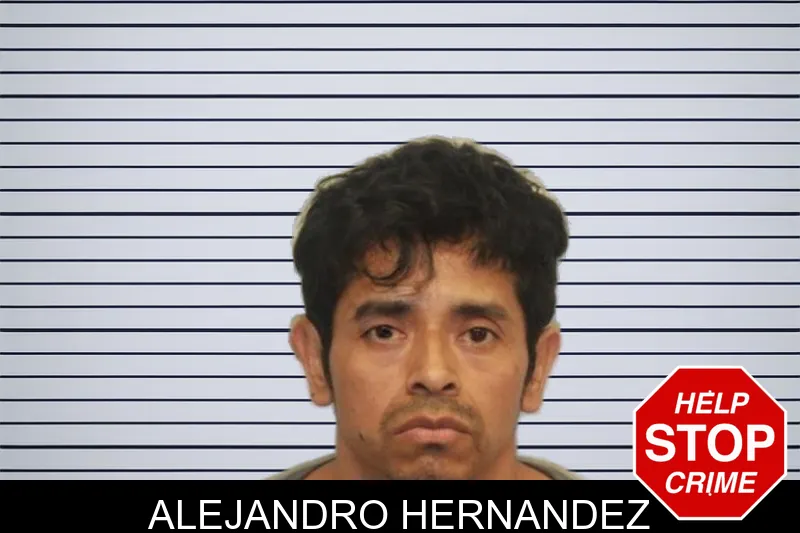Alejandro Hernandez mugshot