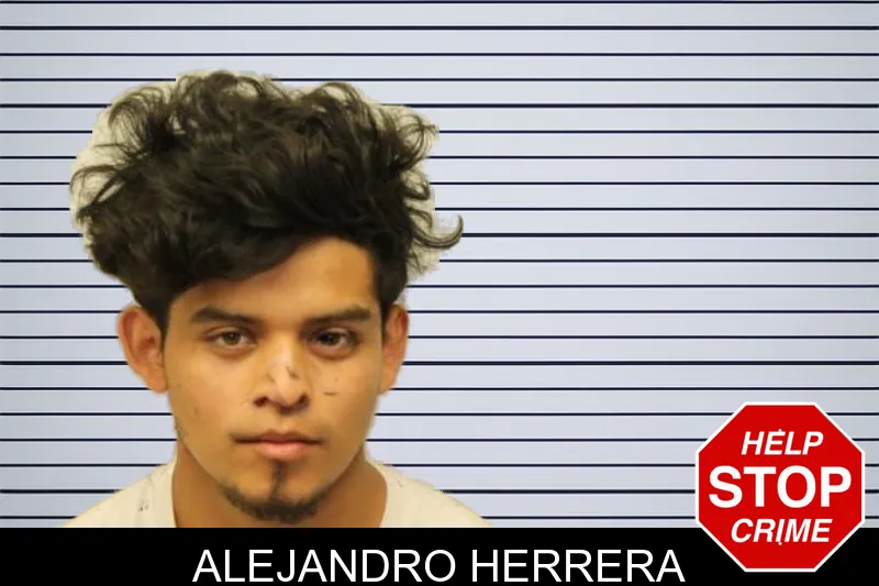 Alejandro Herrera mugshot