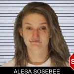 Alesa Sosebee mugshot