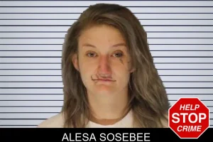 Alesa Sosebee mugshot