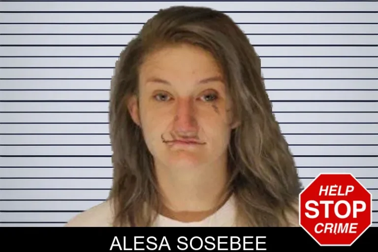 Alesa Sosebee mugshot – Hall County , Georgia Alesa Sosebee