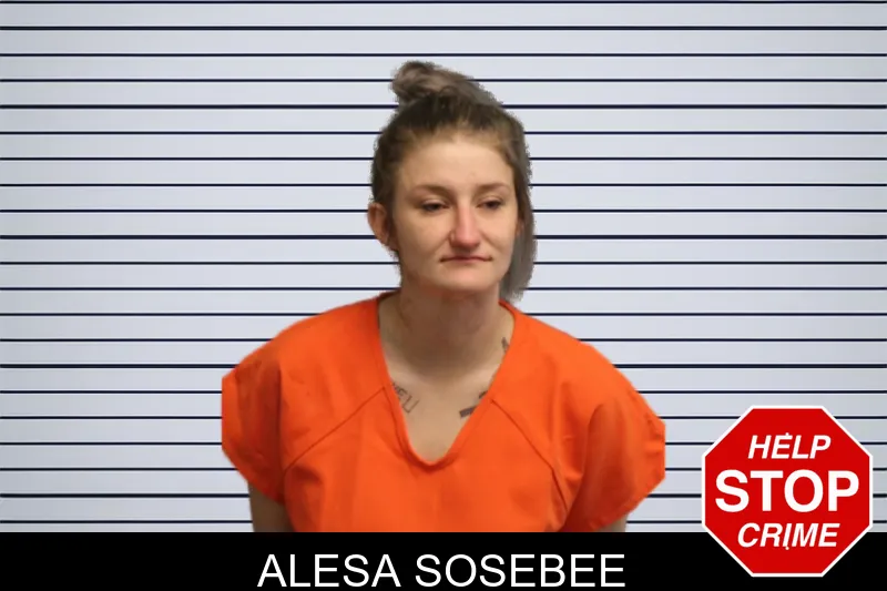 Alesa Sosebee mugshot β Lumpkin County , Georgia Alesa Sosebee mugshot