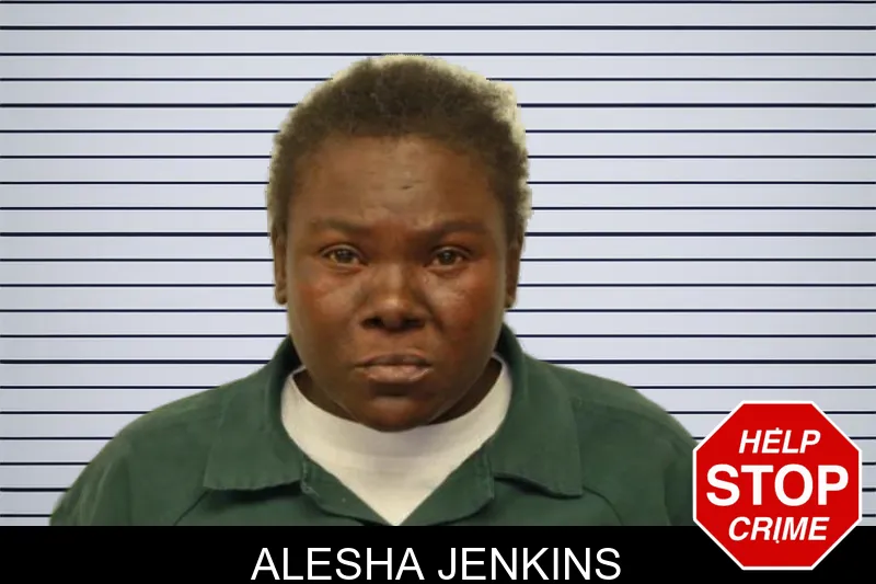 Alesha Jenkins mugshot