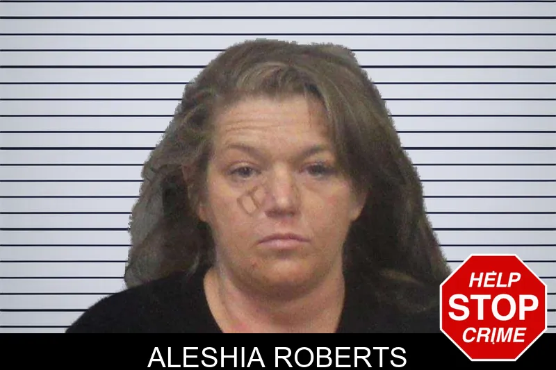 Aleshia Roberts mugshot – White County , Georgia Aleshia Roberts mugshot