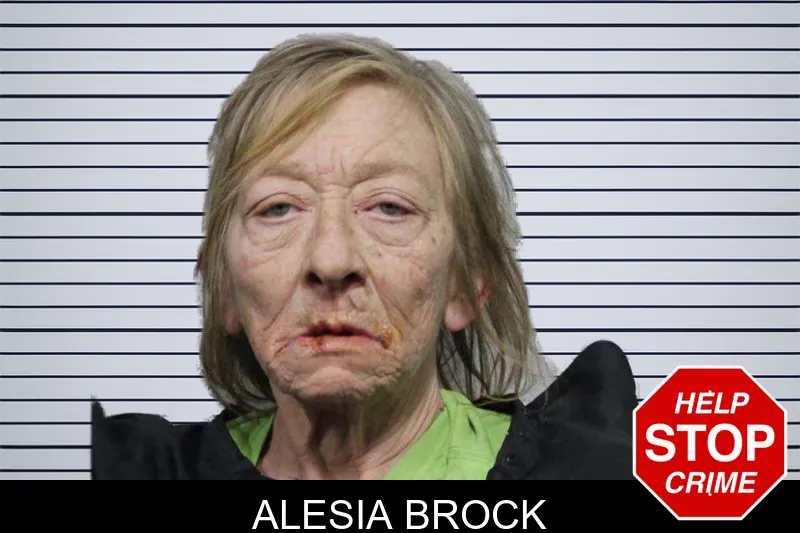 Alesia Brock mugshot