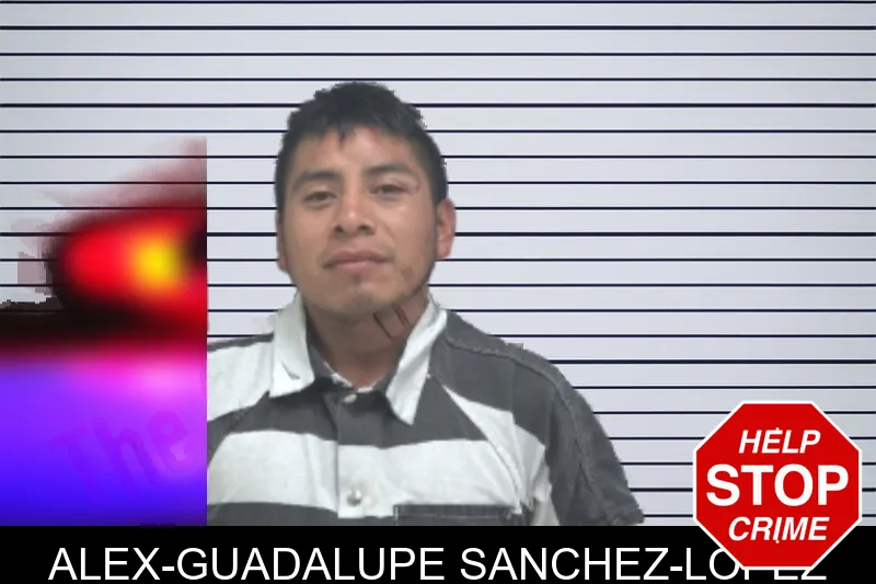 Alex-Guadalupe Sanchez-lopez mugshot – Dougherty County , Georgia Alex-Guadalupe Sanchez-lopez mugshot