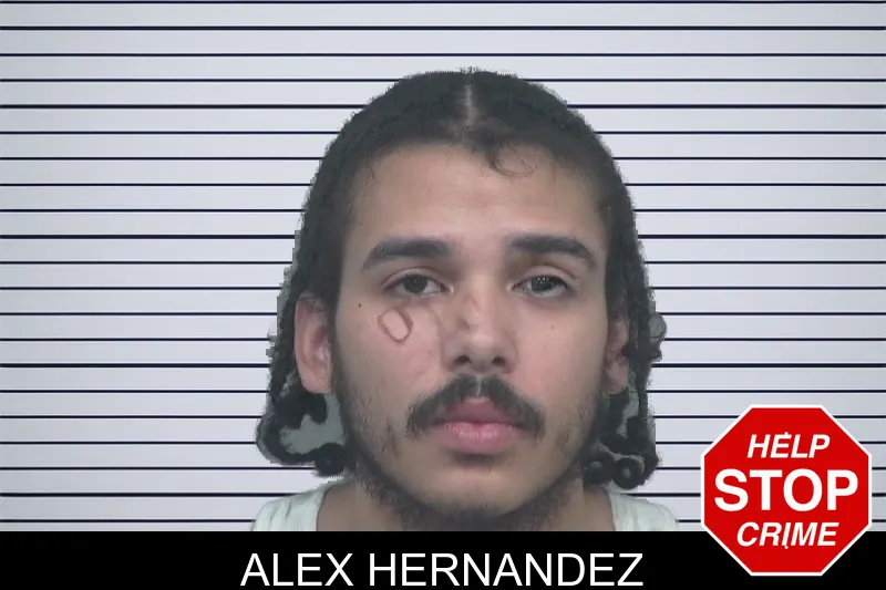 Alex Hernandez mugshot