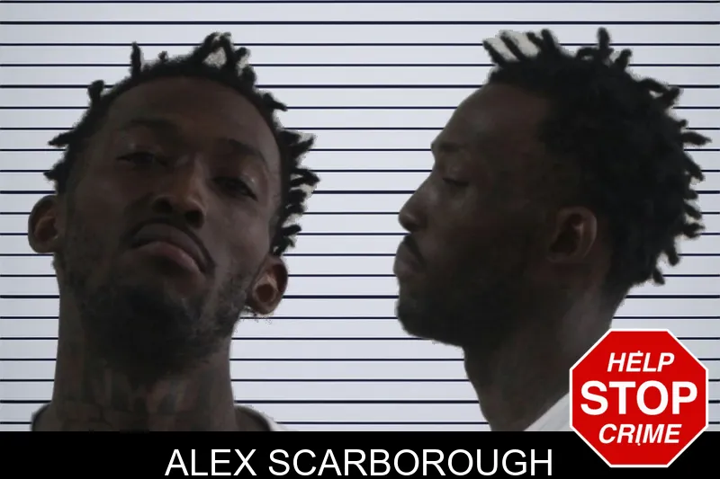 Alex Scarborough mugshot – Houston County , Georgia Alex Scarborough mugshot