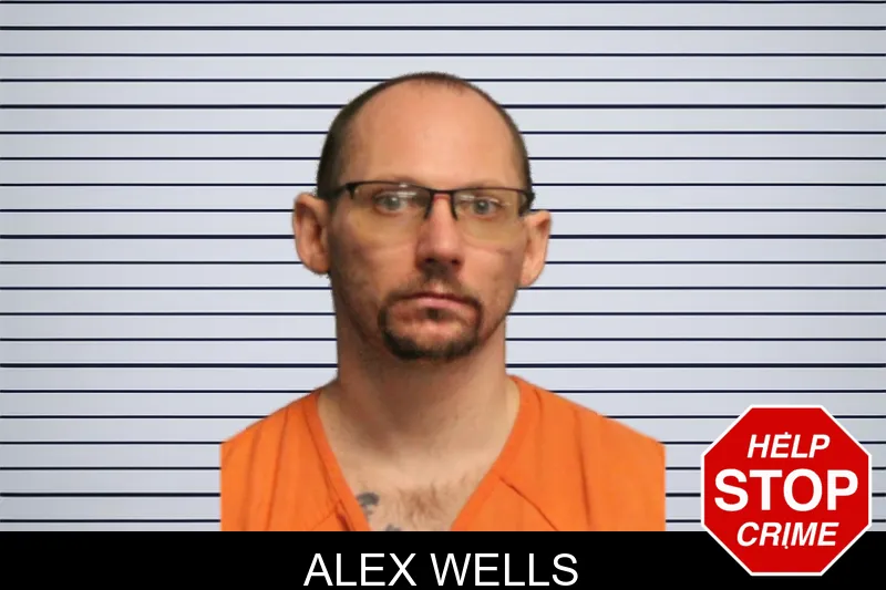Alex Wells mugshot – Lumpkin County , Georgia Alex Wells mugshot