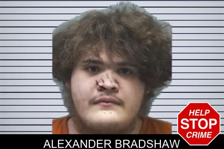Alexander Bradshaw