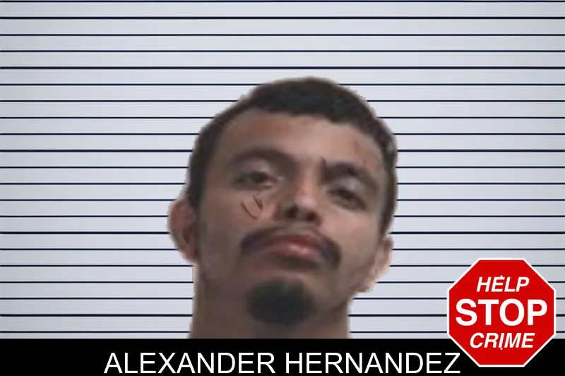 Alexander Hernandez mugshot