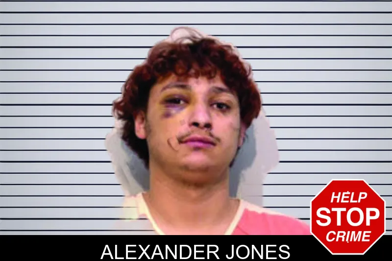 Alexander Jones mugshot – Bartow County , Georgia Alexander Jones mugshot