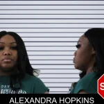 Alexandra Hopkins mugshot