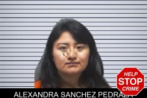 Alexandra Sanchez Pedraza mugshot