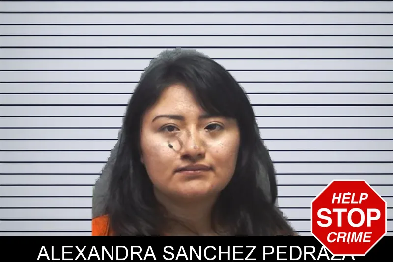 Alexandra Sanchez Pedraza mugshot