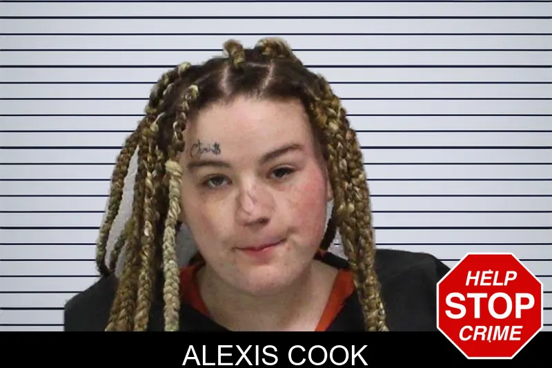 Alexis Cook mugshot – Carroll County , Georgia Alexis Cook mugshot