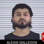 Alexis Gallegos mugshot