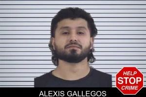 Alexis Gallegos mugshot