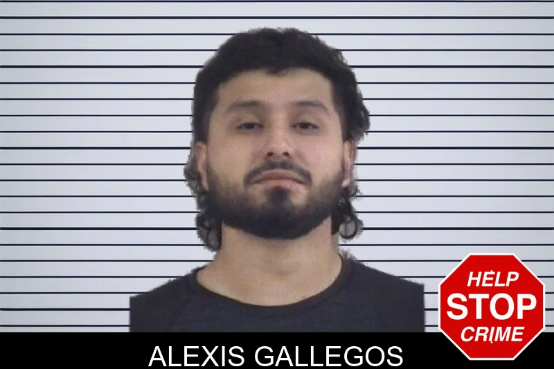 Alexis Gallegos mugshot