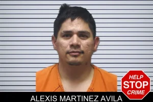 Alexis Martinez Avila mugshot
