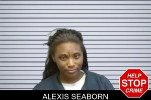 Alexis Seaborn mugshot