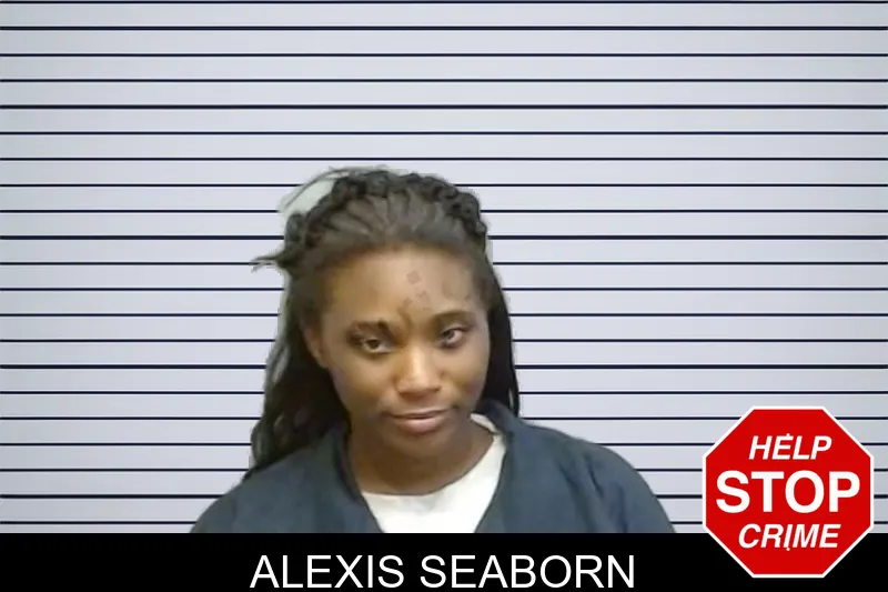 Alexis Seaborn mugshot