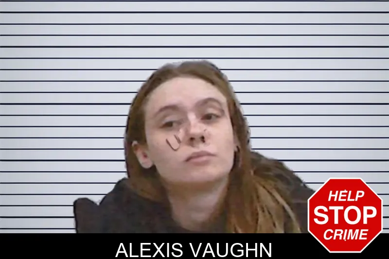 Alexis Vaughn mugshot – Screven County , Georgia Alexis Vaughn mugshot