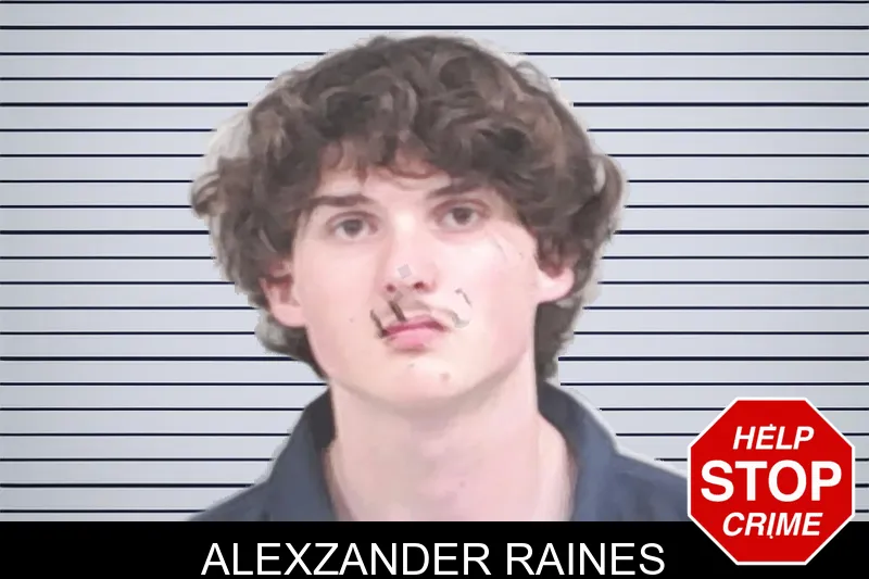 Alexzander Raines mugshot