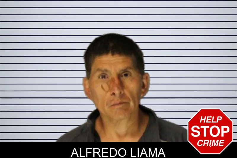 Alfredo Liama mugshot – Hall County , Georgia Alfredo Liama mugshot