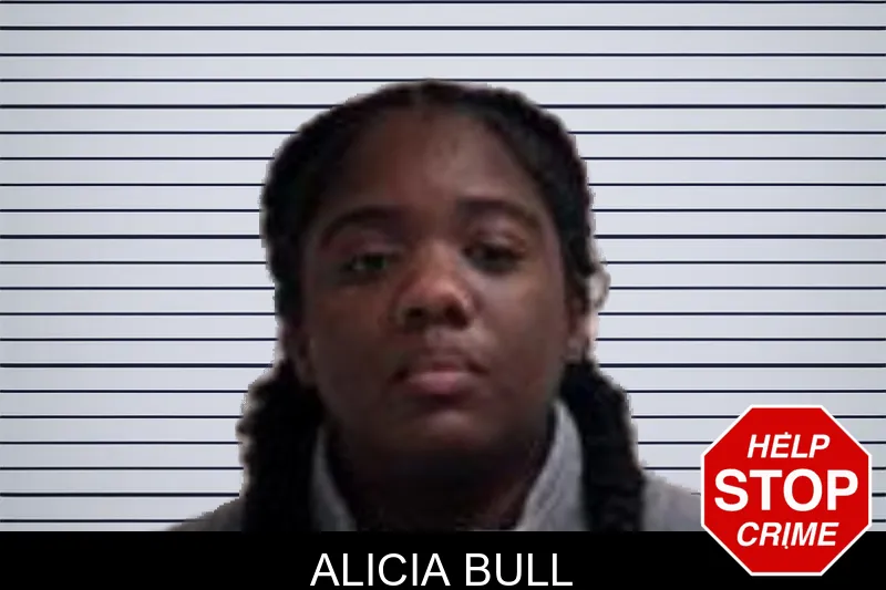 Alicia Bull mugshot