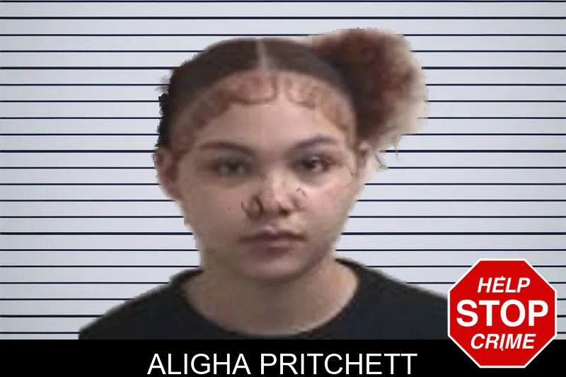 Aligha Pritchett mugshot – Henry County , Georgia Aligha Pritchett mugshot
