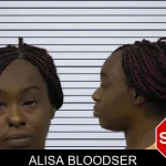 Alisa Bloodser mugshot