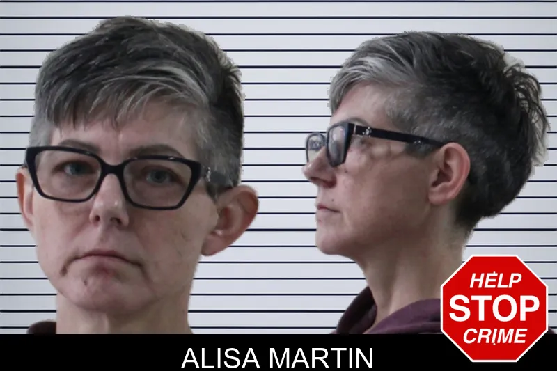 Alisa Martin mugshot – Houston County , Georgia Alisa Martin mugshot