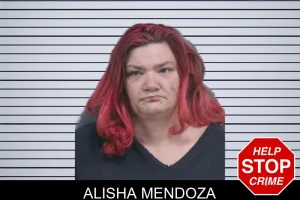 Alisha Mendoza mugshot