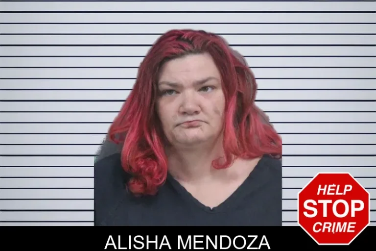 Alisha Mendoza mugshot – Catoosa County , Georgia Alisha Mendoza